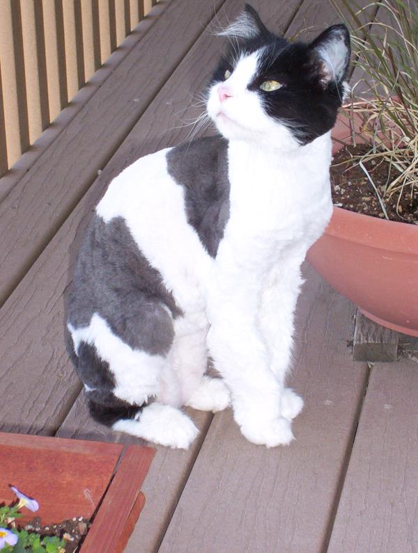 /Images/uploads/Humane Society of Utah/HSUCalendar/entries/991thumb.jpg